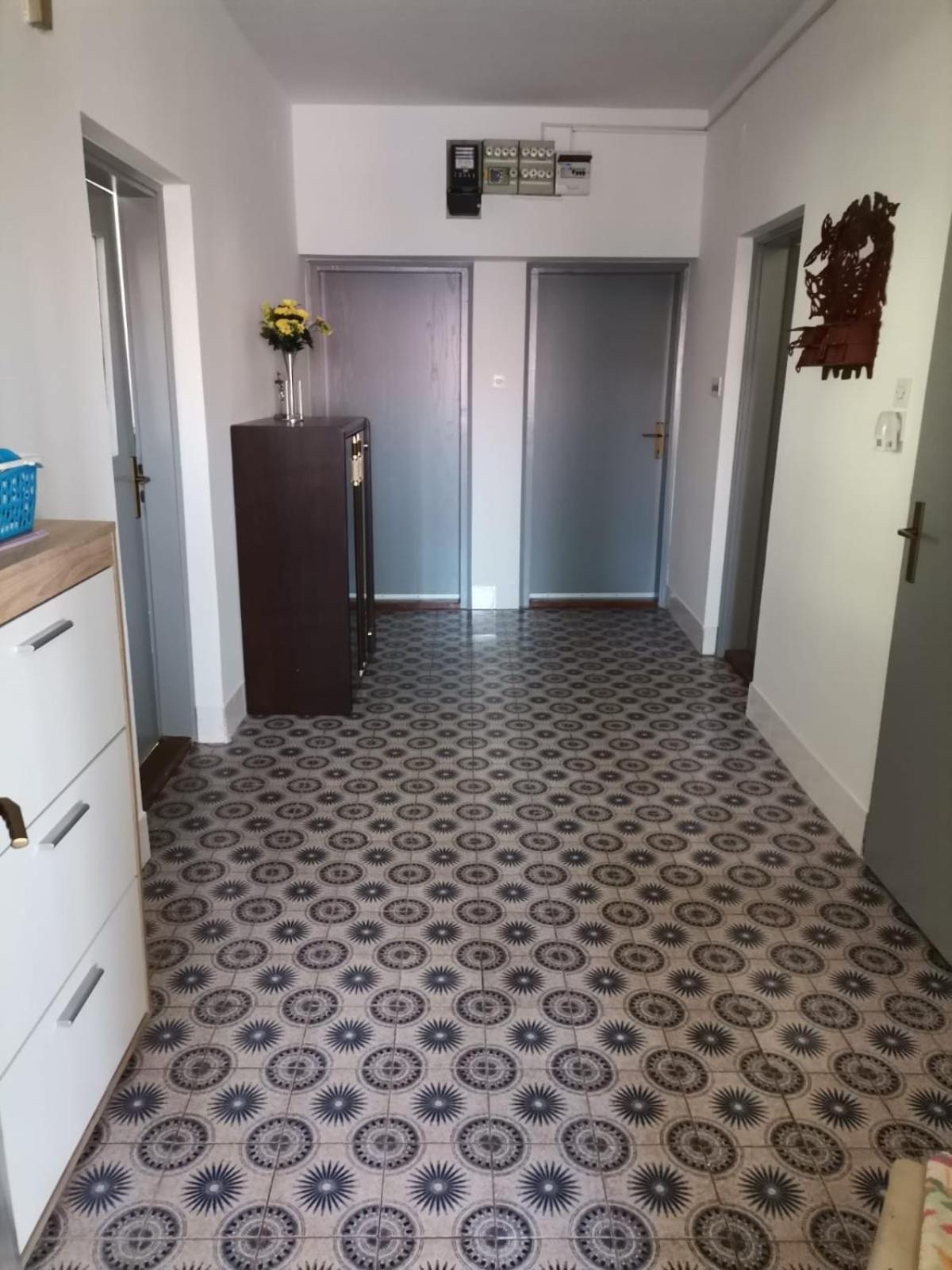 Apartment Drava 1 *